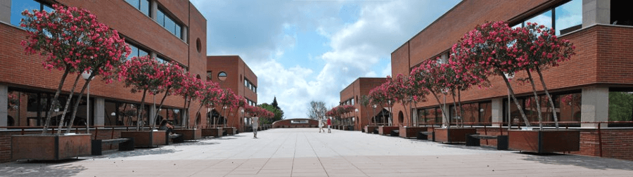 Universitat Internacional de Catalunya